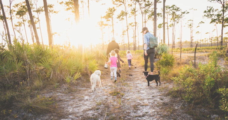 Family with their children and dogs on a walk